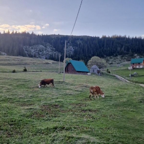 Bosaca 3 Žabljak